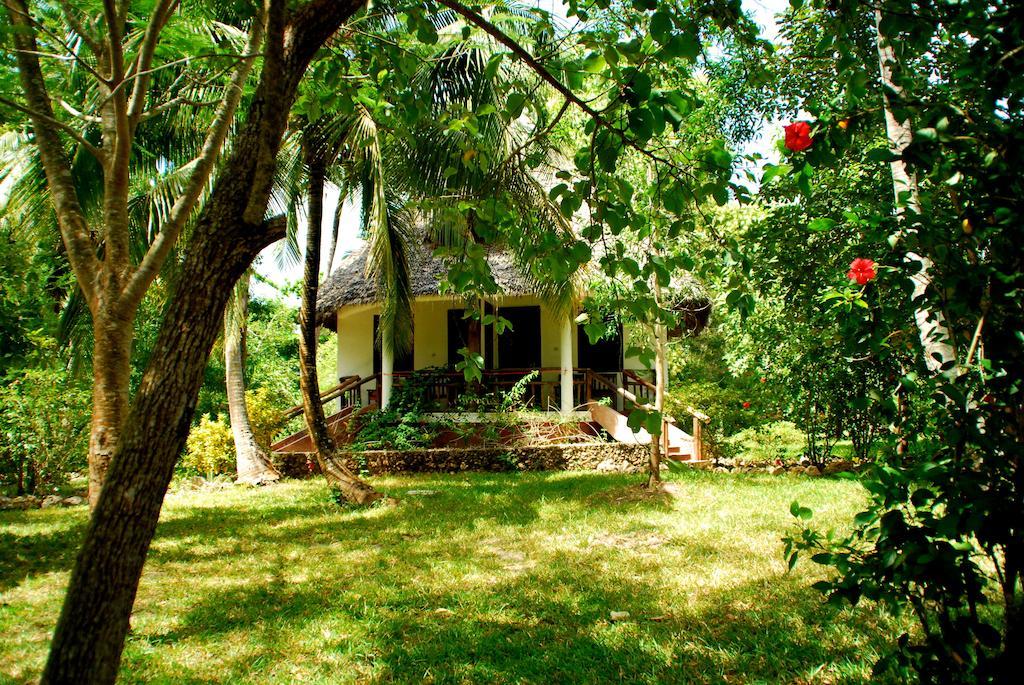 Mangrove Lodge Zanzibar Quarto foto