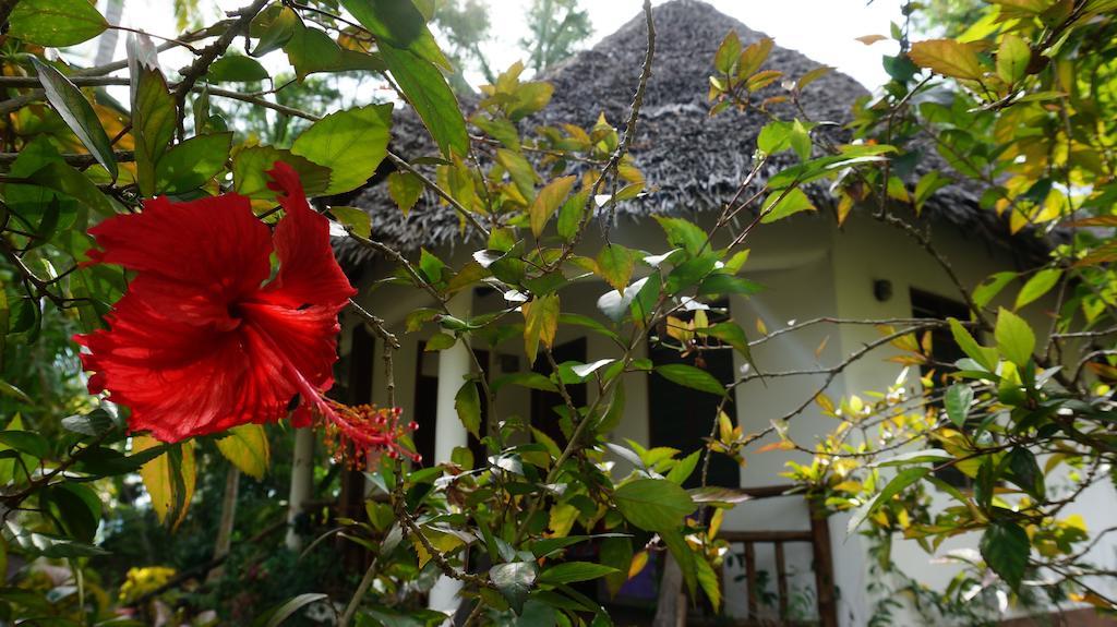 Mangrove Lodge Zanzibar Quarto foto