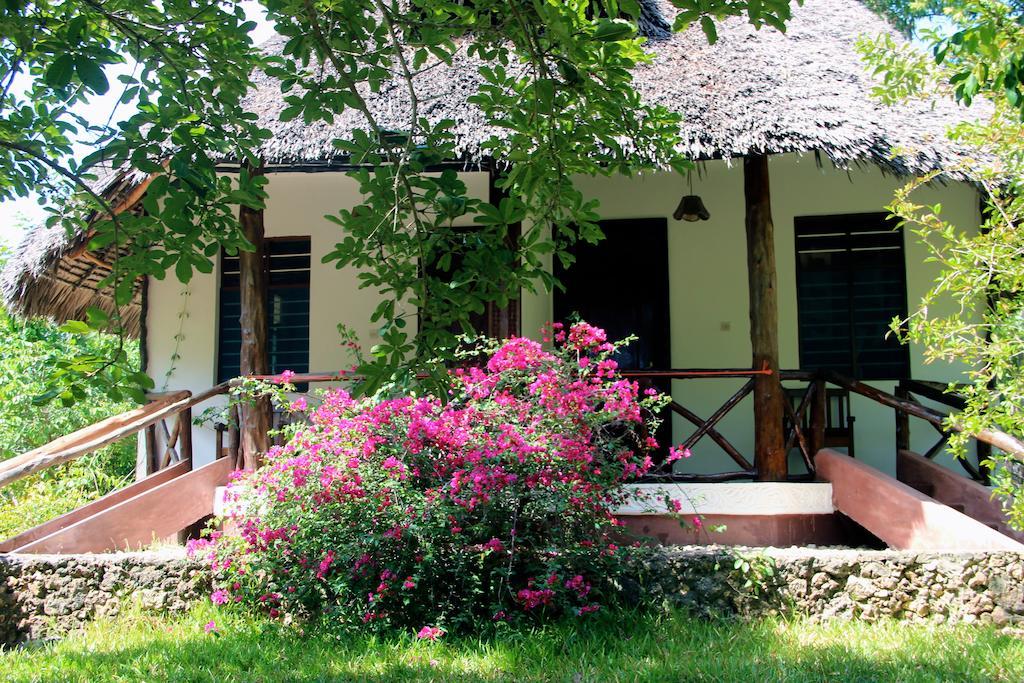 Mangrove Lodge Zanzibar Quarto foto