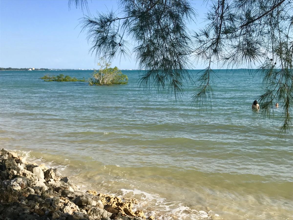 Mangrove Lodge Zanzibar Exterior foto