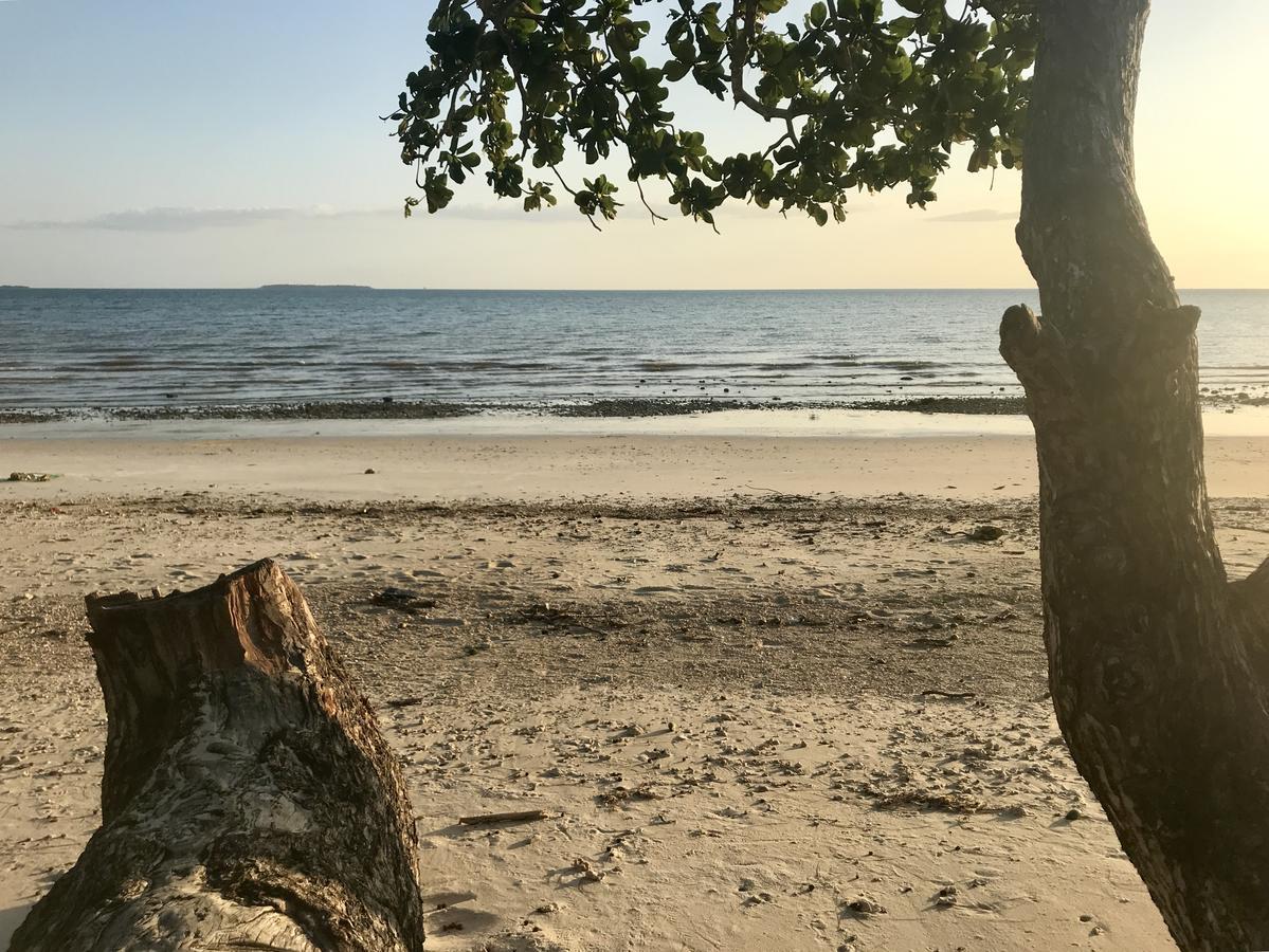 Mangrove Lodge Zanzibar Exterior foto